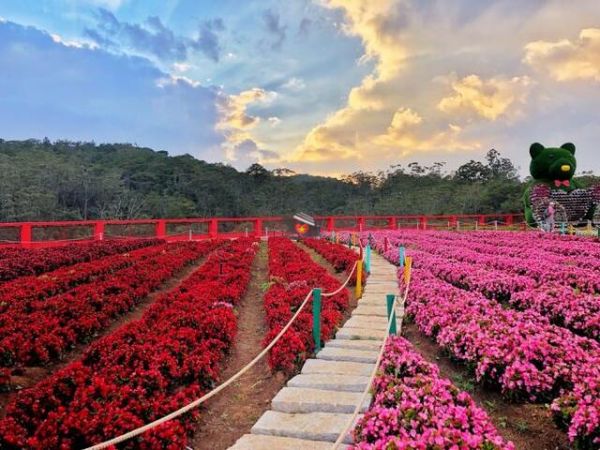 Van Thanh Flower Village Dalat